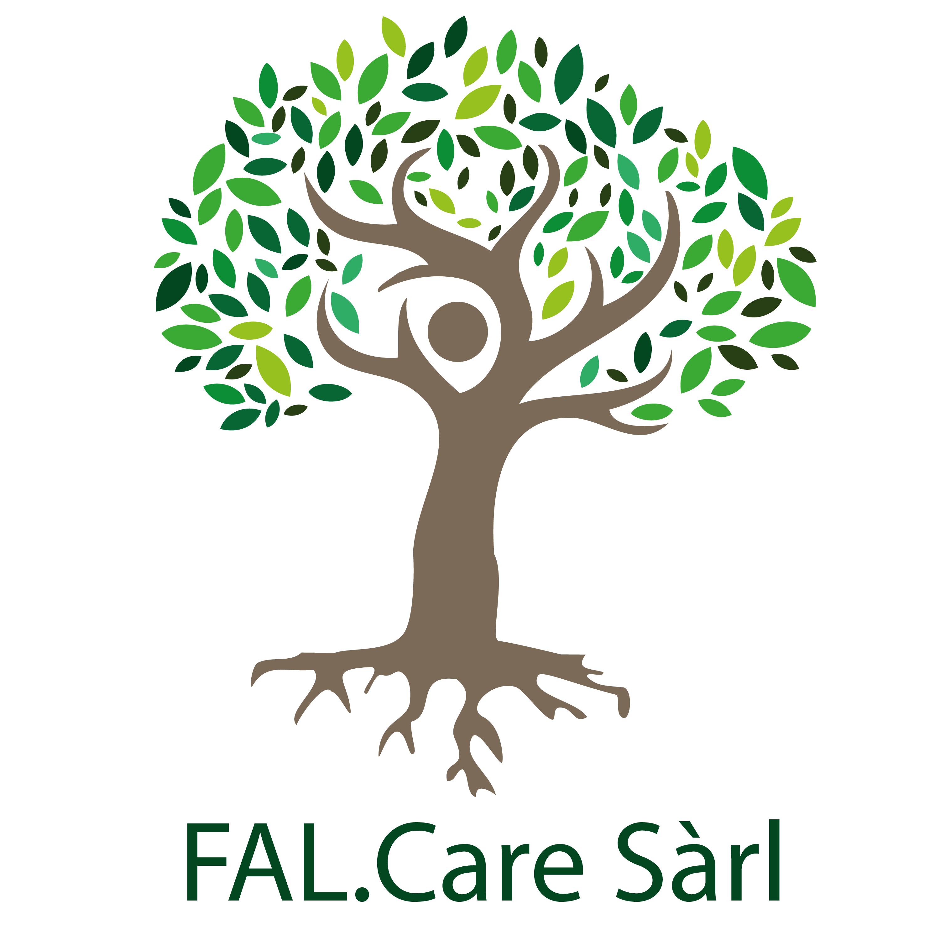 Logo falcare